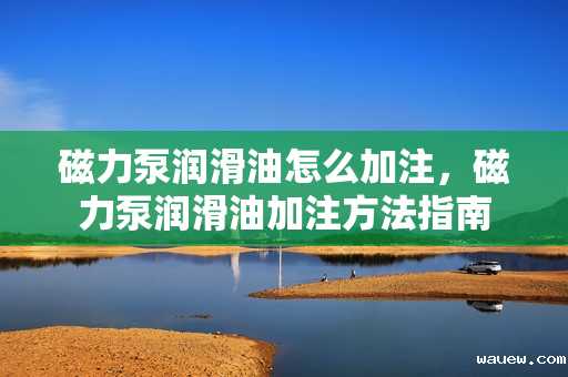 磁力泵润滑油怎么加注，磁力泵润滑油加注方法指南