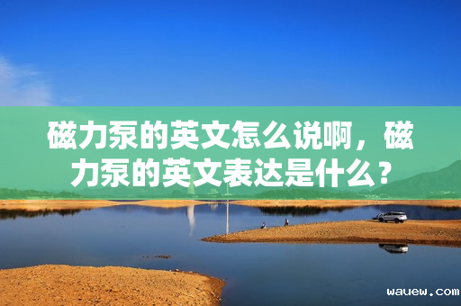 磁力泵的英文怎么说啊，磁力泵的英文表达是什么？