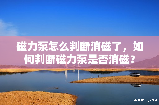 磁力泵怎么判断消磁了，如何判断磁力泵是否消磁？