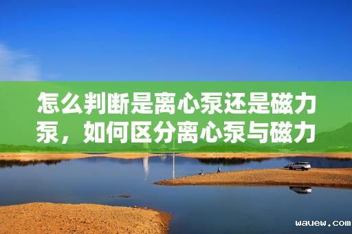 怎么判断是离心泵还是磁力泵，如何区分离心泵与磁力泵？