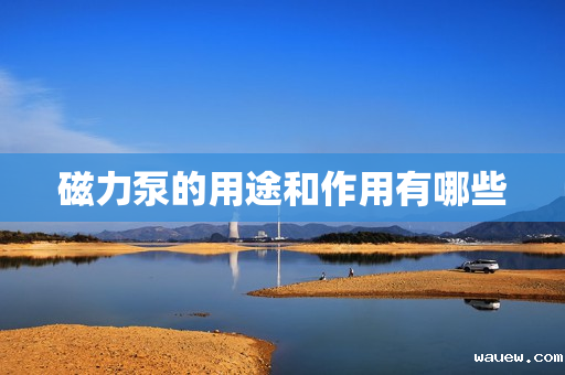 磁力泵的用途和作用有哪些