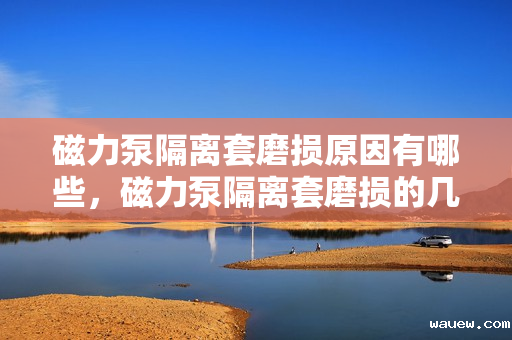 磁力泵隔离套磨损原因有哪些，磁力泵隔离套磨损的几大原因解析