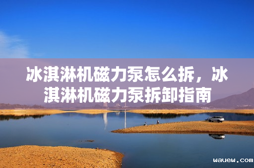 冰淇淋机磁力泵怎么拆，冰淇淋机磁力泵拆卸指南