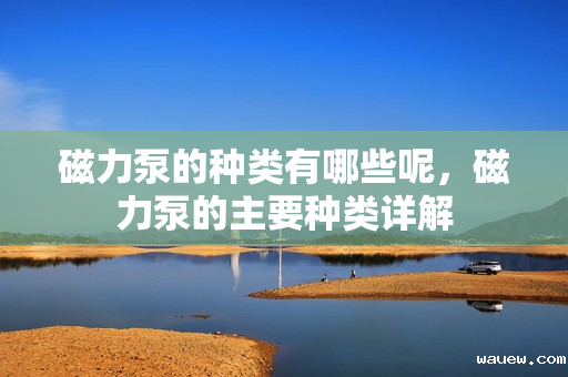 磁力泵的种类有哪些呢，磁力泵的主要种类详解