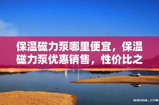 保温磁力泵哪里便宜，保温磁力泵优惠销售，性价比之选