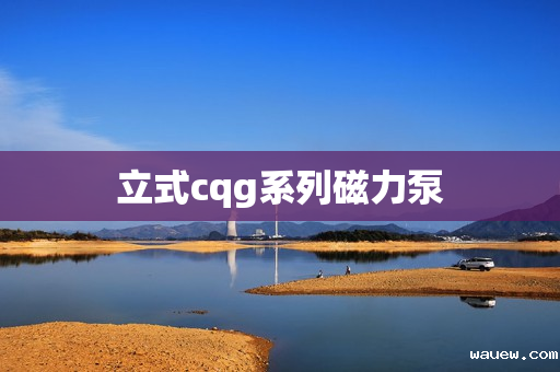 立式cqg系列磁力泵