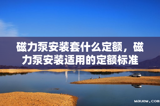 磁力泵安装套什么定额，磁力泵安装适用的定额标准