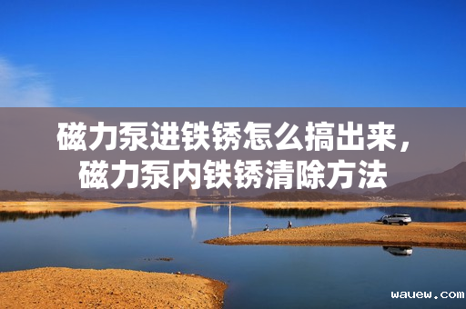 磁力泵进铁锈怎么搞出来，磁力泵内铁锈清除方法