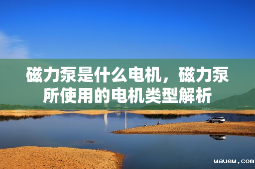 磁力泵是什么电机，磁力泵所使用的电机类型解析