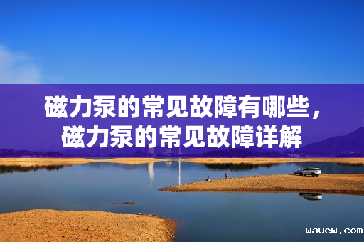 磁力泵的常见故障有哪些，磁力泵的常见故障详解