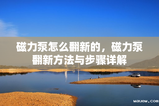 磁力泵怎么翻新的，磁力泵翻新方法与步骤详解