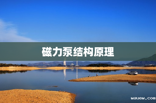 磁力泵结构原理