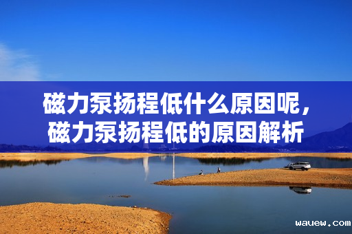 磁力泵扬程低什么原因呢，磁力泵扬程低的原因解析