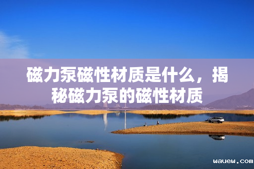 磁力泵磁性材质是什么，揭秘磁力泵的磁性材质