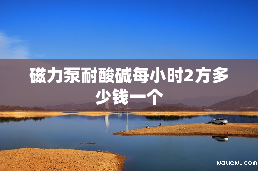 磁力泵耐酸碱每小时2方多少钱一个