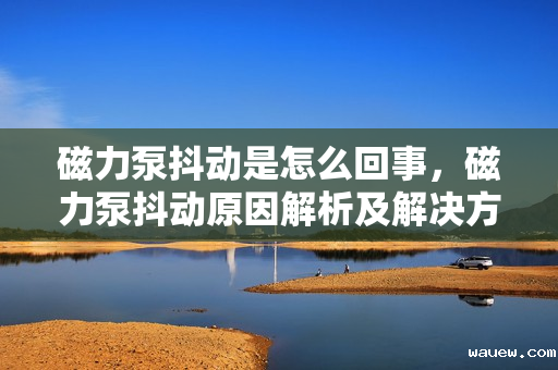 磁力泵抖动是怎么回事，磁力泵抖动原因解析及解决方法