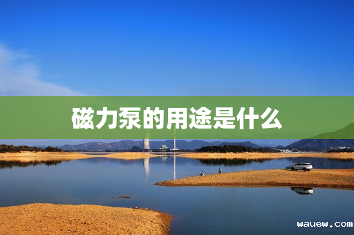 磁力泵的用途是什么