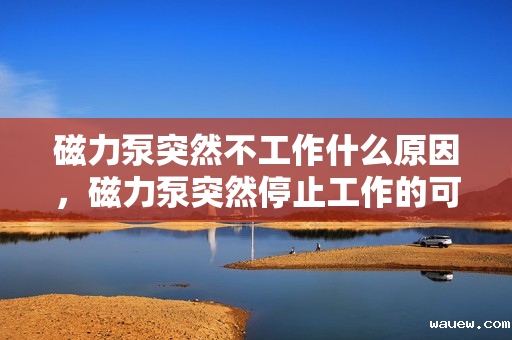 磁力泵突然不工作什么原因，磁力泵突然停止工作的可能原因解析