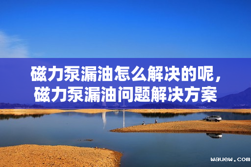磁力泵漏油怎么解决的呢，磁力泵漏油问题解决方案