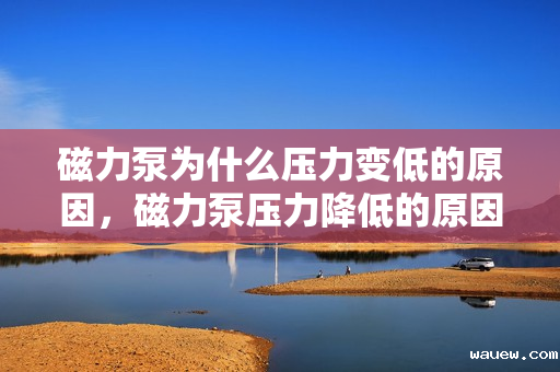 磁力泵为什么压力变低的原因，磁力泵压力降低的原因解析