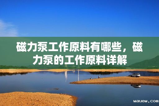 磁力泵工作原料有哪些，磁力泵的工作原料详解