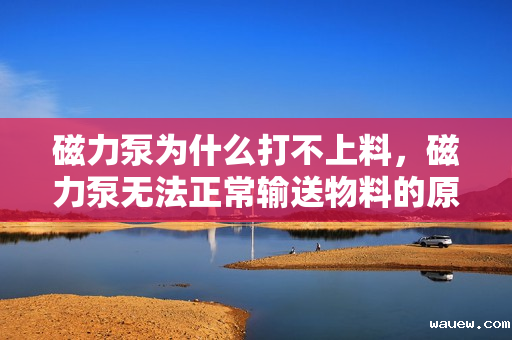 磁力泵为什么打不上料，磁力泵无法正常输送物料的原因解析