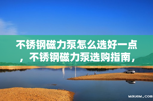 不锈钢磁力泵怎么选好一点，不锈钢磁力泵选购指南，如何挑选高品质产品
