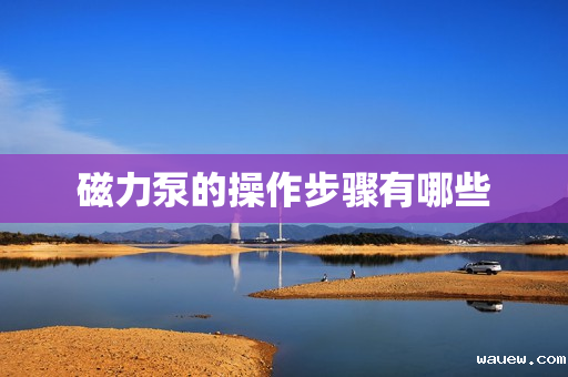 磁力泵的操作步骤有哪些