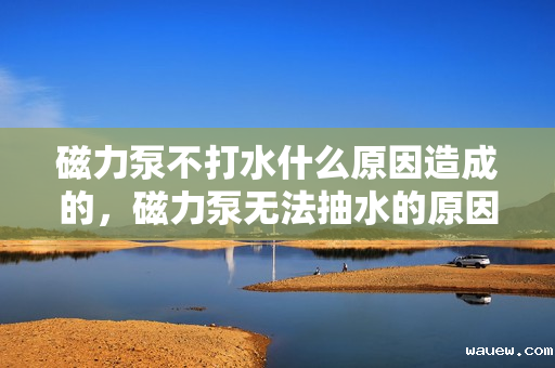 磁力泵不打水什么原因造成的，磁力泵无法抽水的原因解析