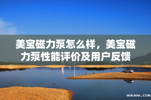 美宝磁力泵怎么样，美宝磁力泵性能评价及用户反馈