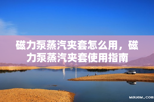 磁力泵蒸汽夹套怎么用，磁力泵蒸汽夹套使用指南