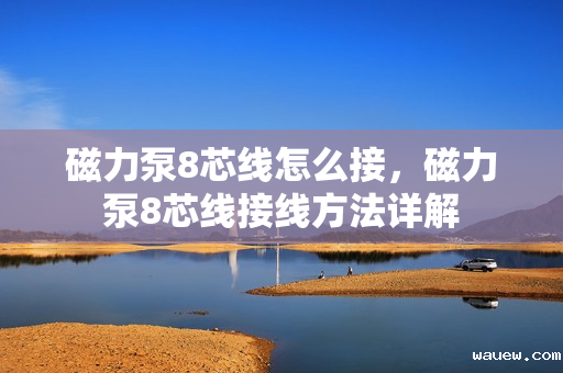 磁力泵8芯线怎么接，磁力泵8芯线接线方法详解