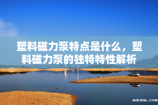 塑料磁力泵特点是什么，塑料磁力泵的独特特性解析