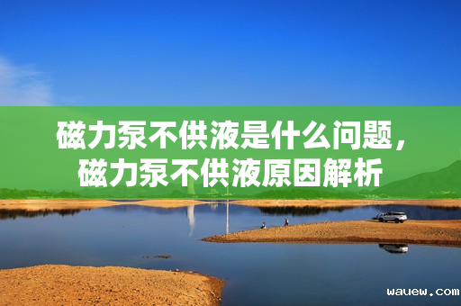 磁力泵不供液是什么问题，磁力泵不供液原因解析