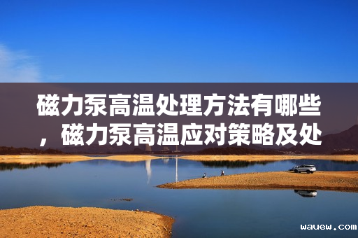 磁力泵高温处理方法有哪些，磁力泵高温应对策略及处理方法