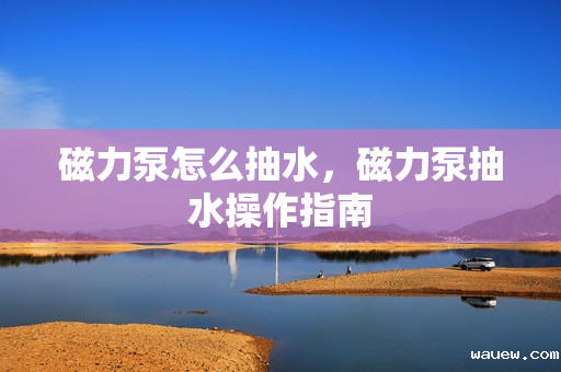 磁力泵怎么抽水，磁力泵抽水操作指南