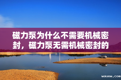 磁力泵为什么不需要机械密封，磁力泵无需机械密封的奥秘