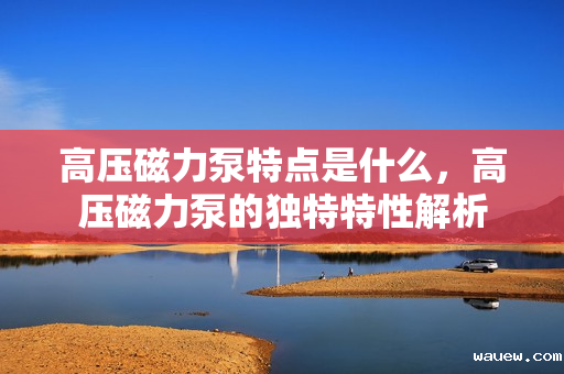 高压磁力泵特点是什么，高压磁力泵的独特特性解析