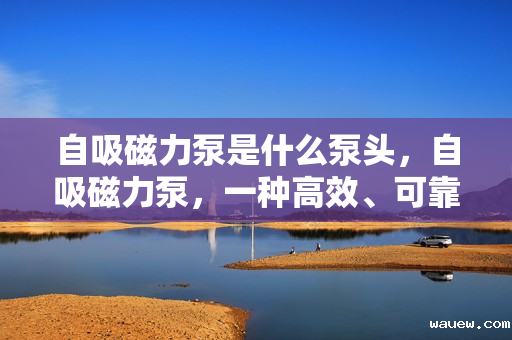 自吸磁力泵是什么泵头，自吸磁力泵，一种高效、可靠的泵头选择