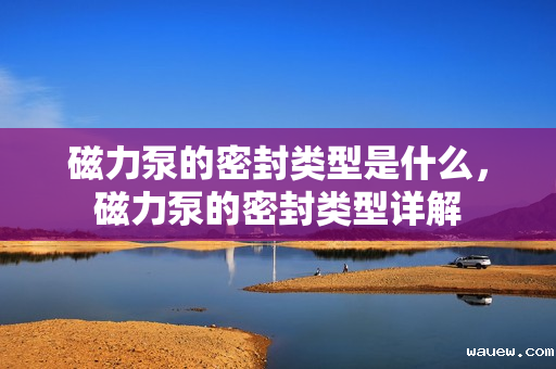 磁力泵的密封类型是什么，磁力泵的密封类型详解