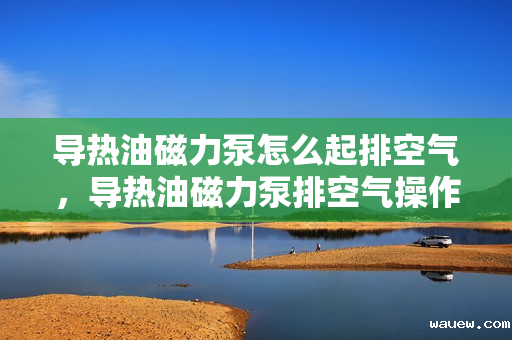 导热油磁力泵怎么起排空气，导热油磁力泵排空气操作指南