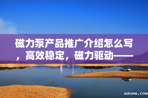 磁力泵产品推广介绍怎么写，高效稳定，磁力驱动——探索磁力泵的卓越性能与应用