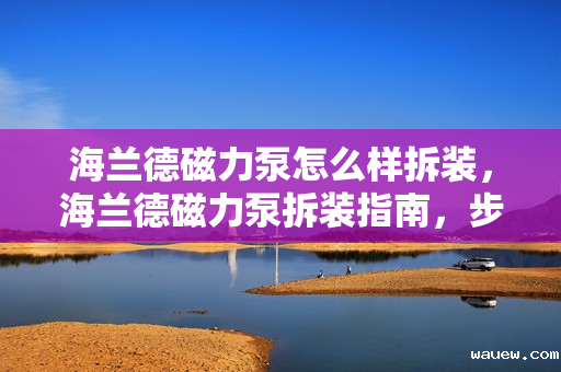 海兰德磁力泵怎么样拆装，海兰德磁力泵拆装指南，步骤详解与注意事项