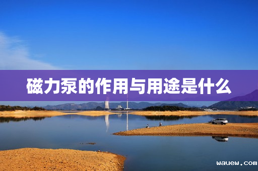 磁力泵的作用与用途是什么