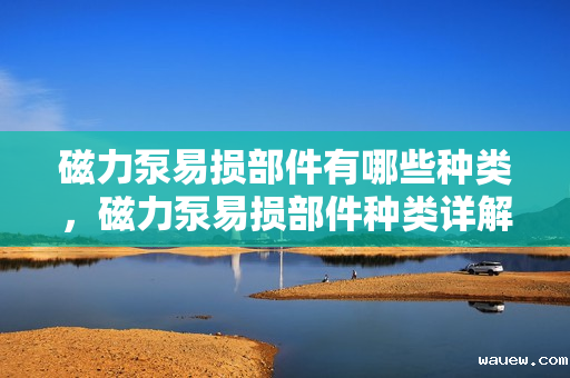 磁力泵易损部件有哪些种类，磁力泵易损部件种类详解