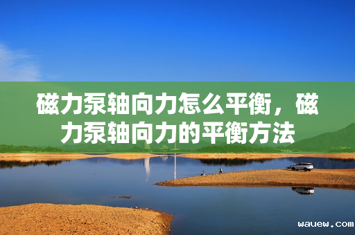 磁力泵轴向力怎么平衡，磁力泵轴向力的平衡方法