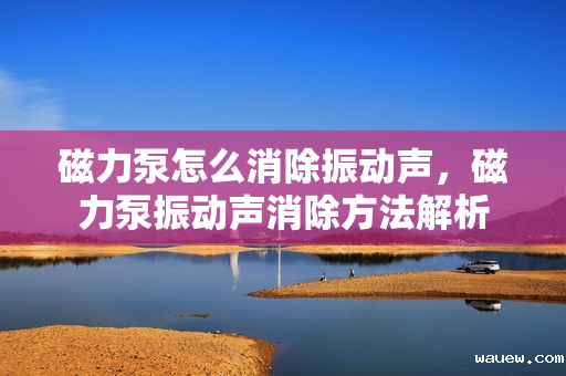 磁力泵怎么消除振动声，磁力泵振动声消除方法解析