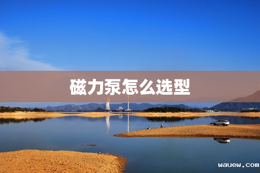 磁力泵怎么选型