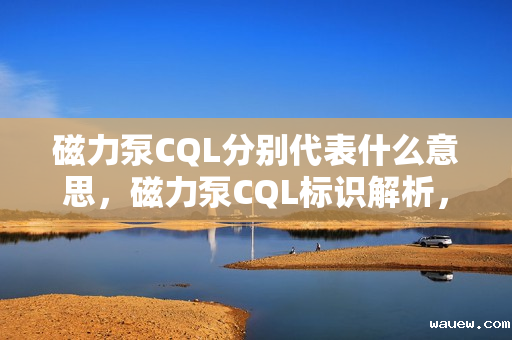 磁力泵CQL分别代表什么意思，磁力泵CQL标识解析，各字母含义揭秘