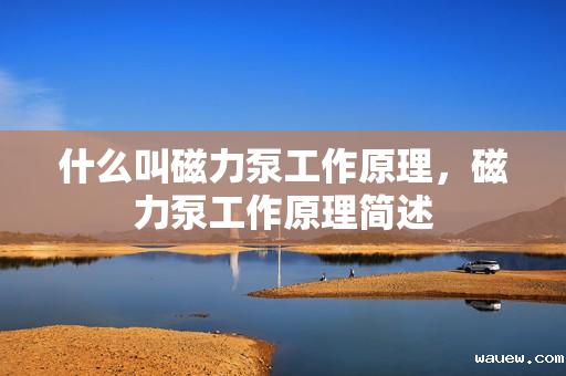 什么叫磁力泵工作原理，磁力泵工作原理简述